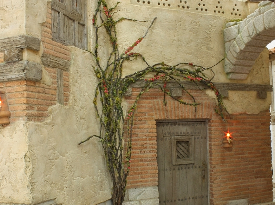 Pétalos de flores rojas