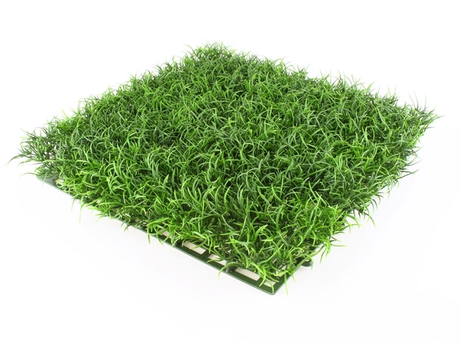 Plancha de hierba