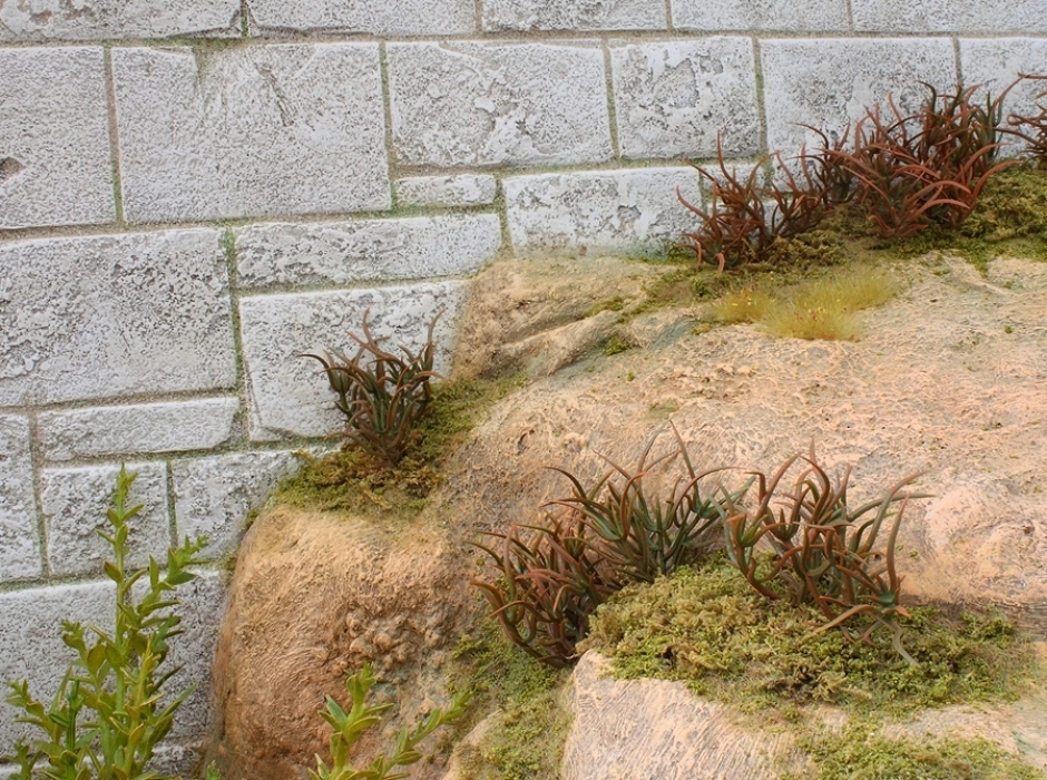 Plancha de hierba