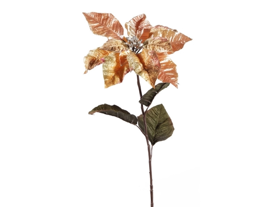 Poinsettia Glamour
