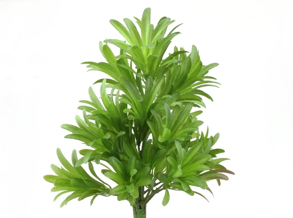 Ramillete de arbusto verde