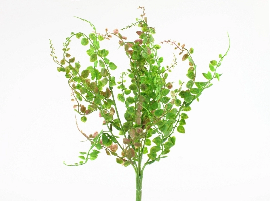 Ramillete de enredadera