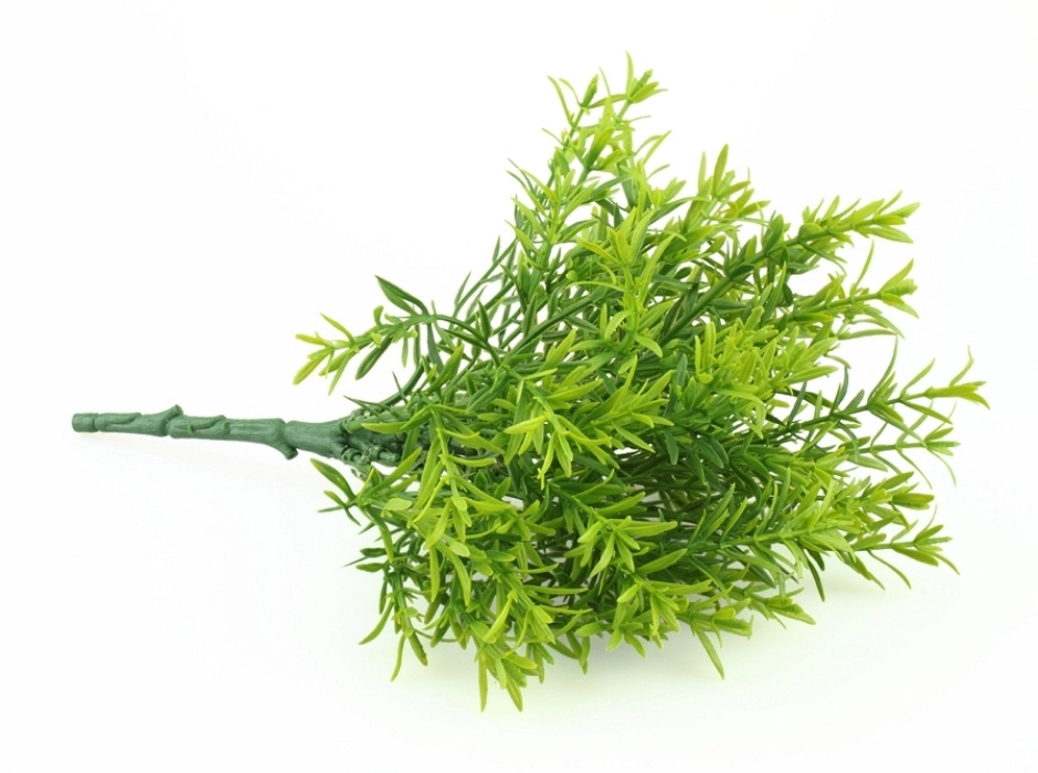 Ramillete de olivo pequeño