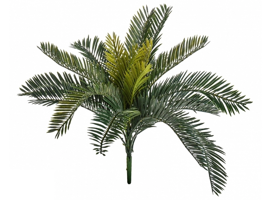 Ramillete de palmera Ramillete de palmera