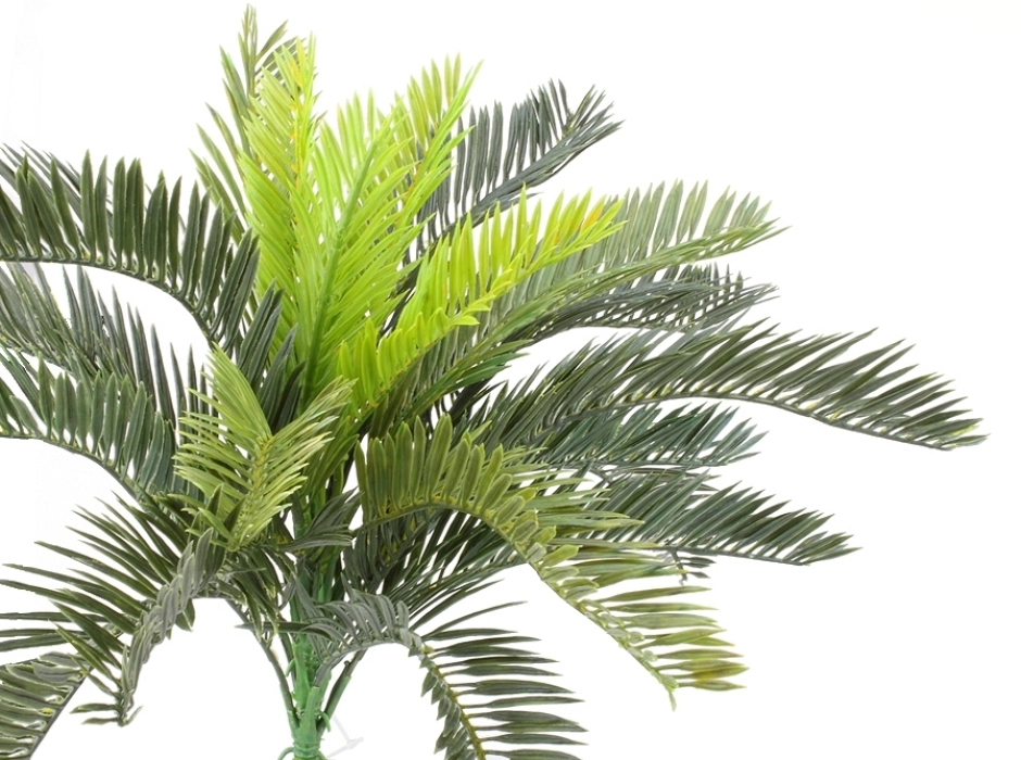 Ramillete de palmera