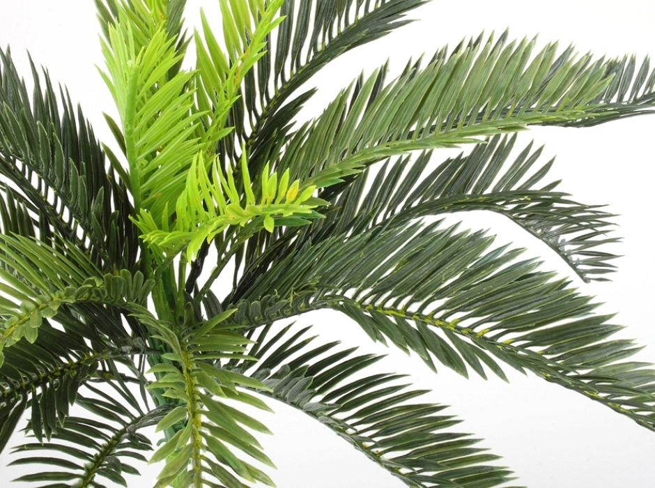 Ramillete de palmera