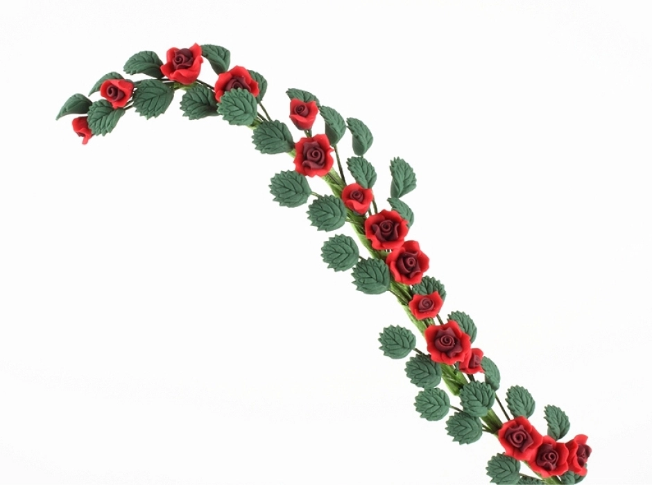 Rosal trepador Rosal trepador