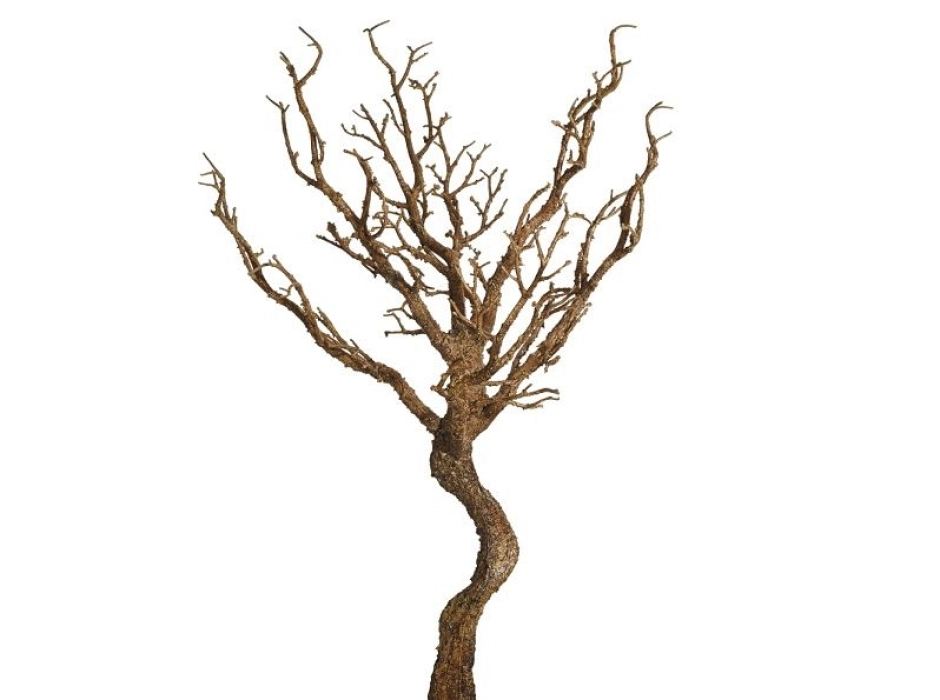 Tronco de árbol Tronco de árbol
