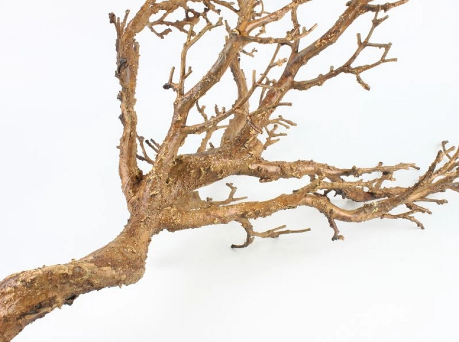 Tronco de árbol