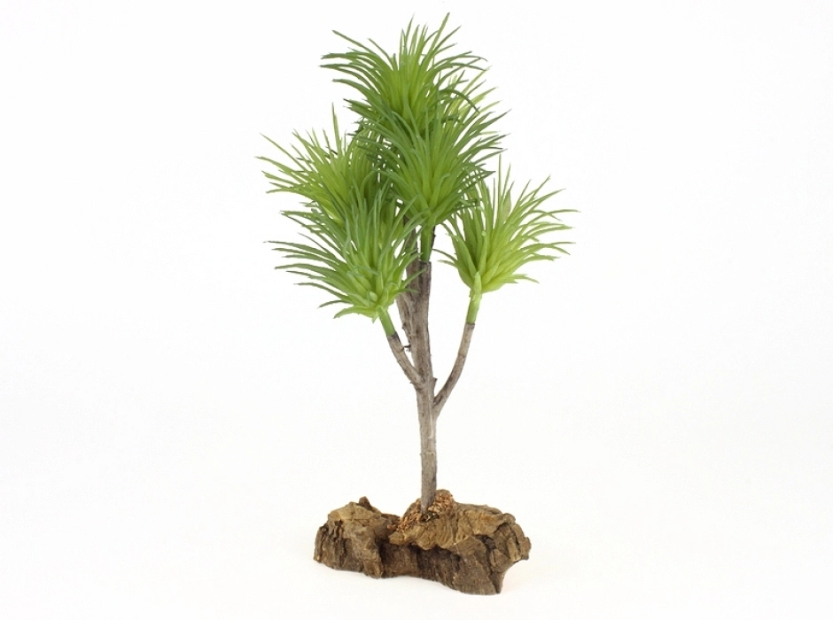 Yuca alta 20 cm.