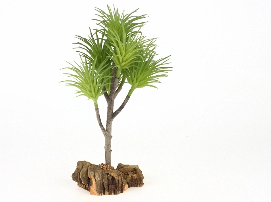 Yuca alta 20 cm.